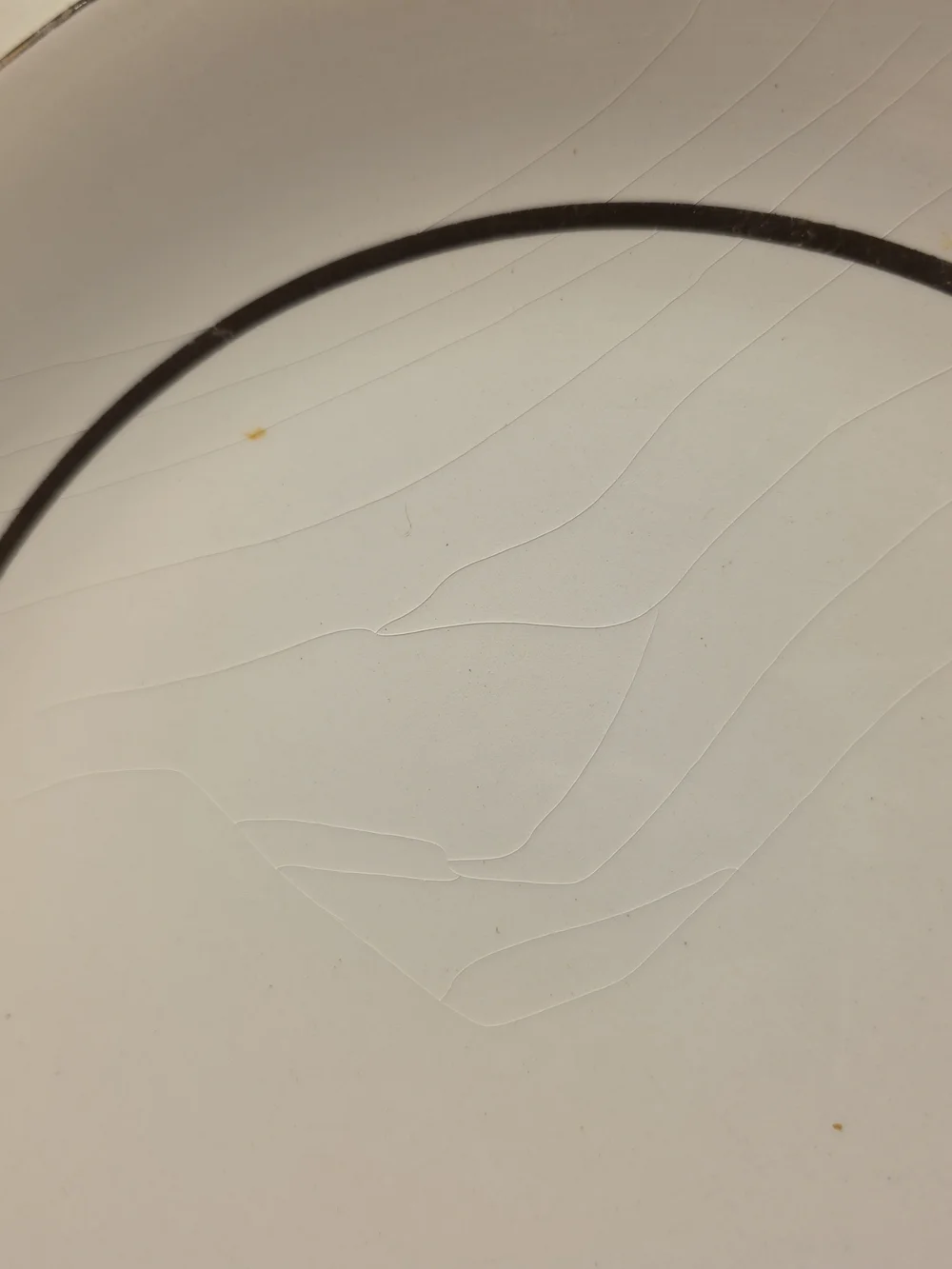 White Dinner Plates with Gold Rim - Elegant Dining Set